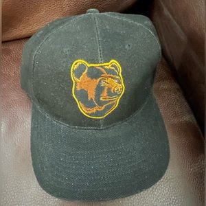 Vintage Twins Enterprises Boston Bruins strapback Pooh bear 90s